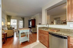 Kitchen 4852 EISENHOWER AVE #339