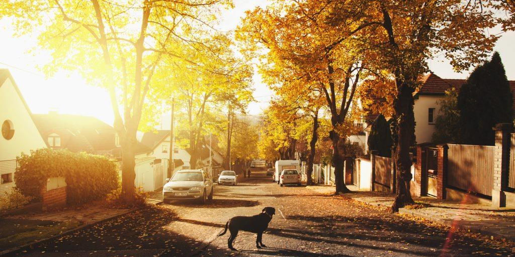 Fall 2017 Fairfax County Housing Update